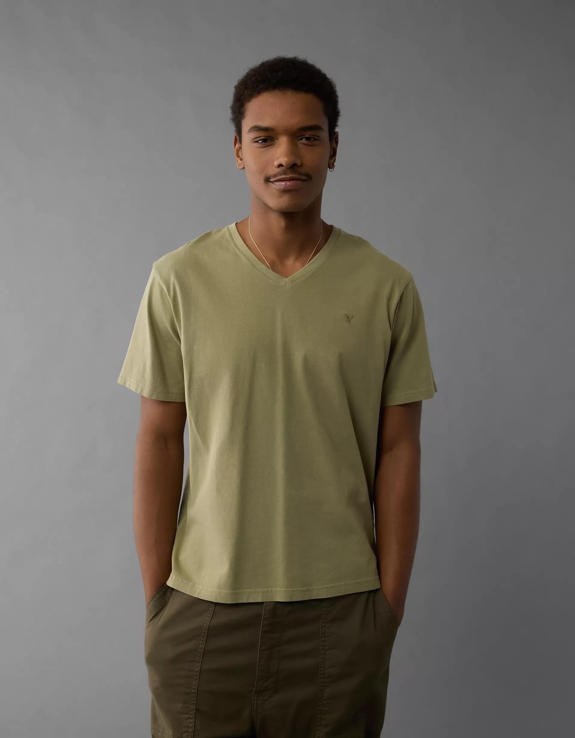 AE Lived-In V-Neck T-Shirt Men's Product Image