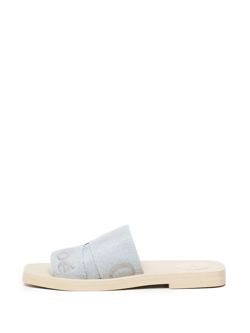 logo-print slides  Product Image