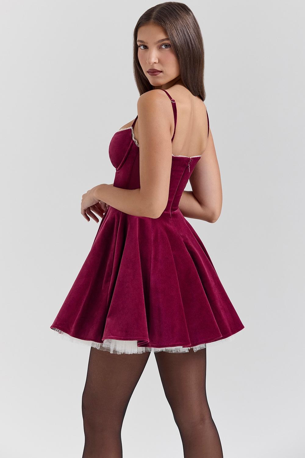 Minimoiselle Burgundy Velvet Tulle Mini Dress Product Image