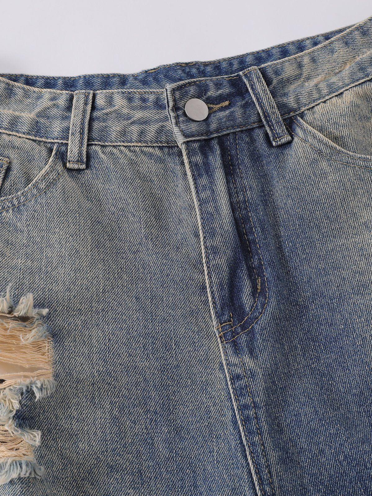 Aelfric Eden Multi Distressed Jorts Product Image
