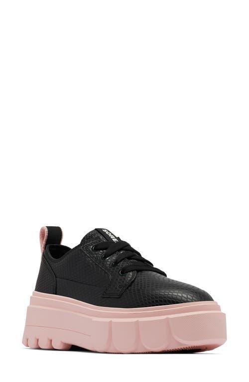 SOREL Caribou X Shoe WP Vintage Pink) Women's Boots Product Image