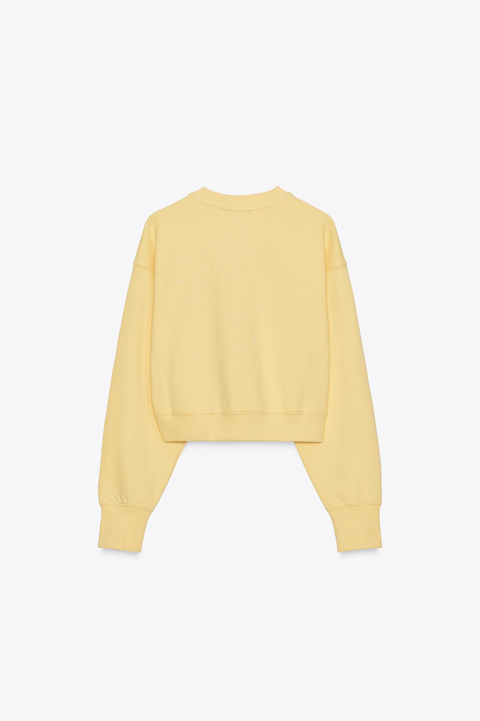 EMBROIDERED TEXT PLUSH SWEATSHIRT Product Image