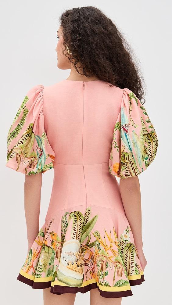 ALÉMAIS Papaya Mini Dress | Shopbop Product Image