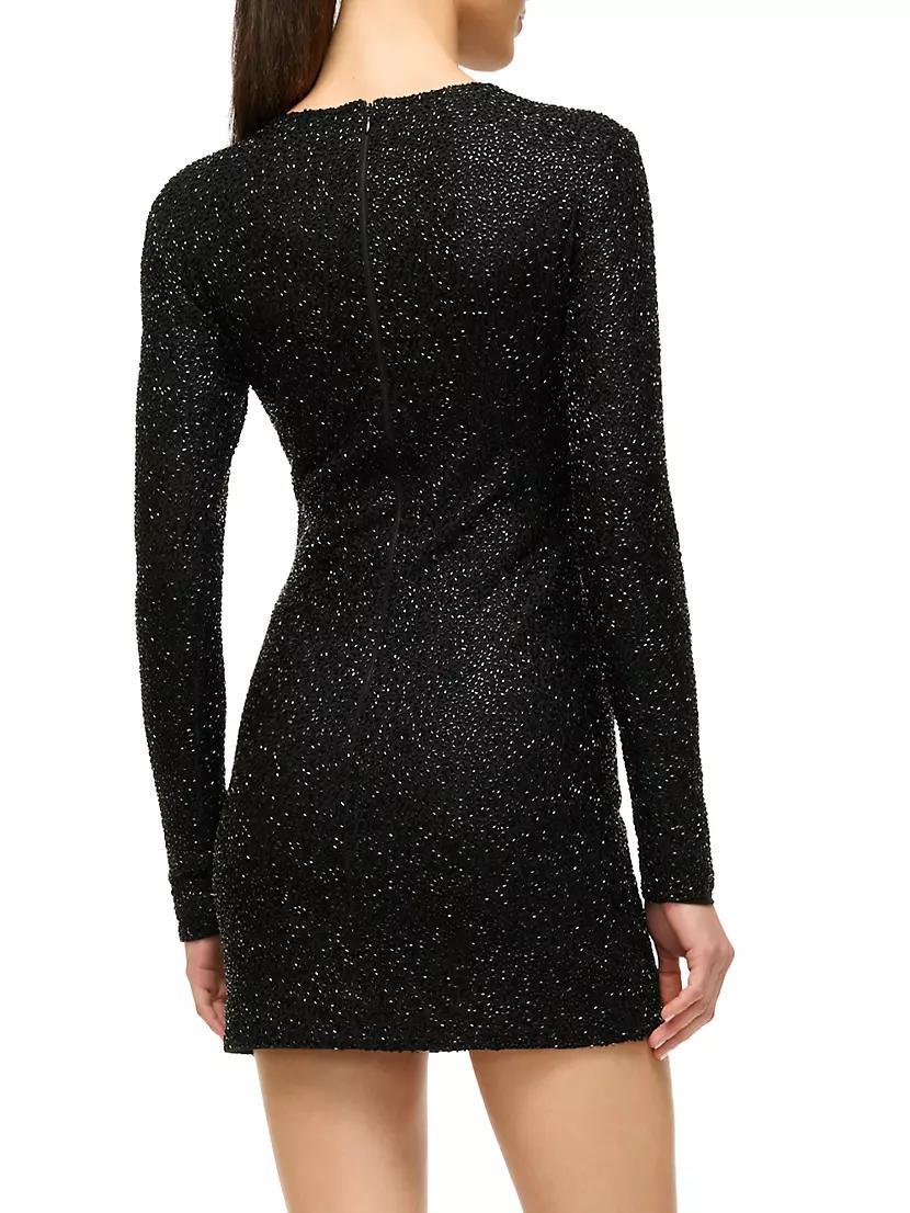 Paradise Embellished Long-Sleeve Minidress Product Image