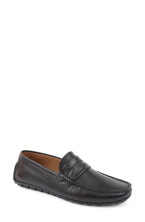 Mens Xeleste Penny Loafer Product Image