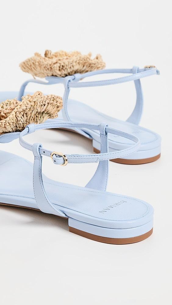 Alexandre Birman Sadie Flower Flats | Shopbop Product Image