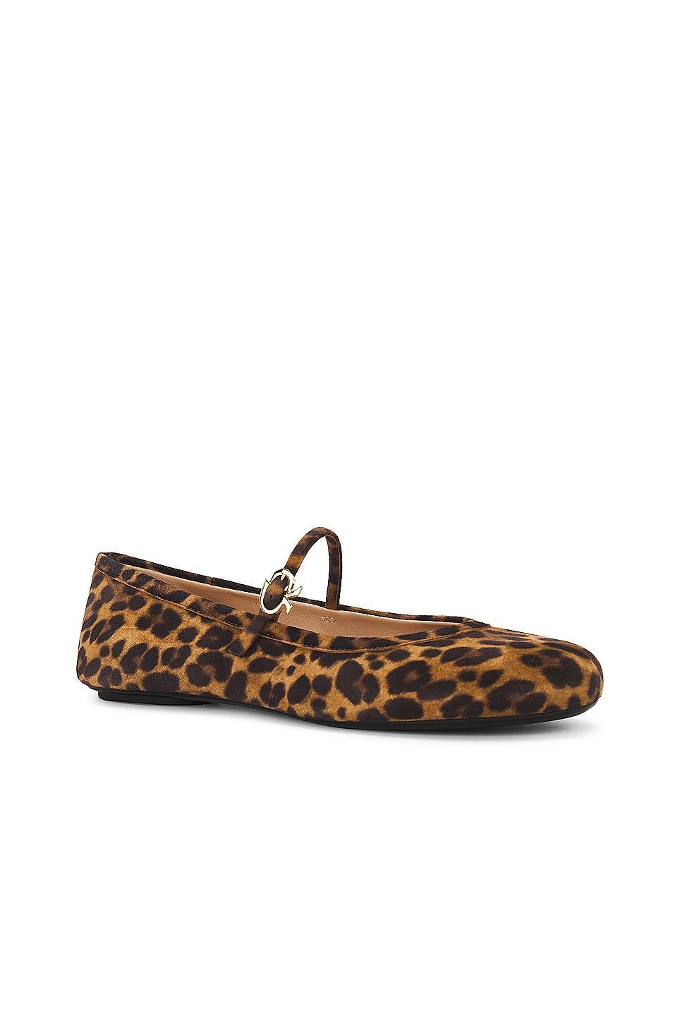 Gianvito Rossi Carla Camoscio Flats in Brown Product Image