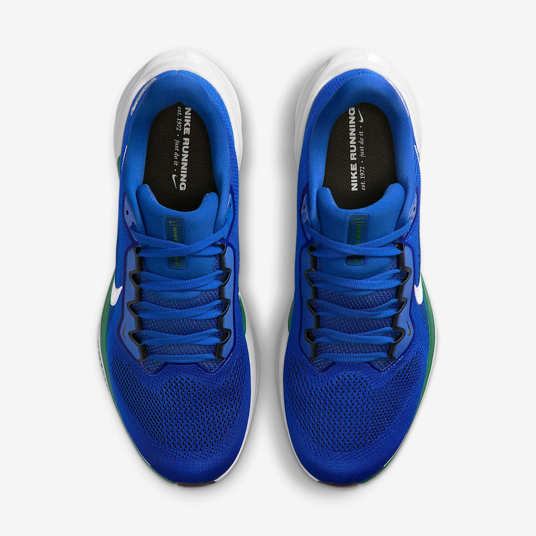 Seattle Seahawks Pegasus 41 Men's Nike NFL Road Running Shoes Product Image