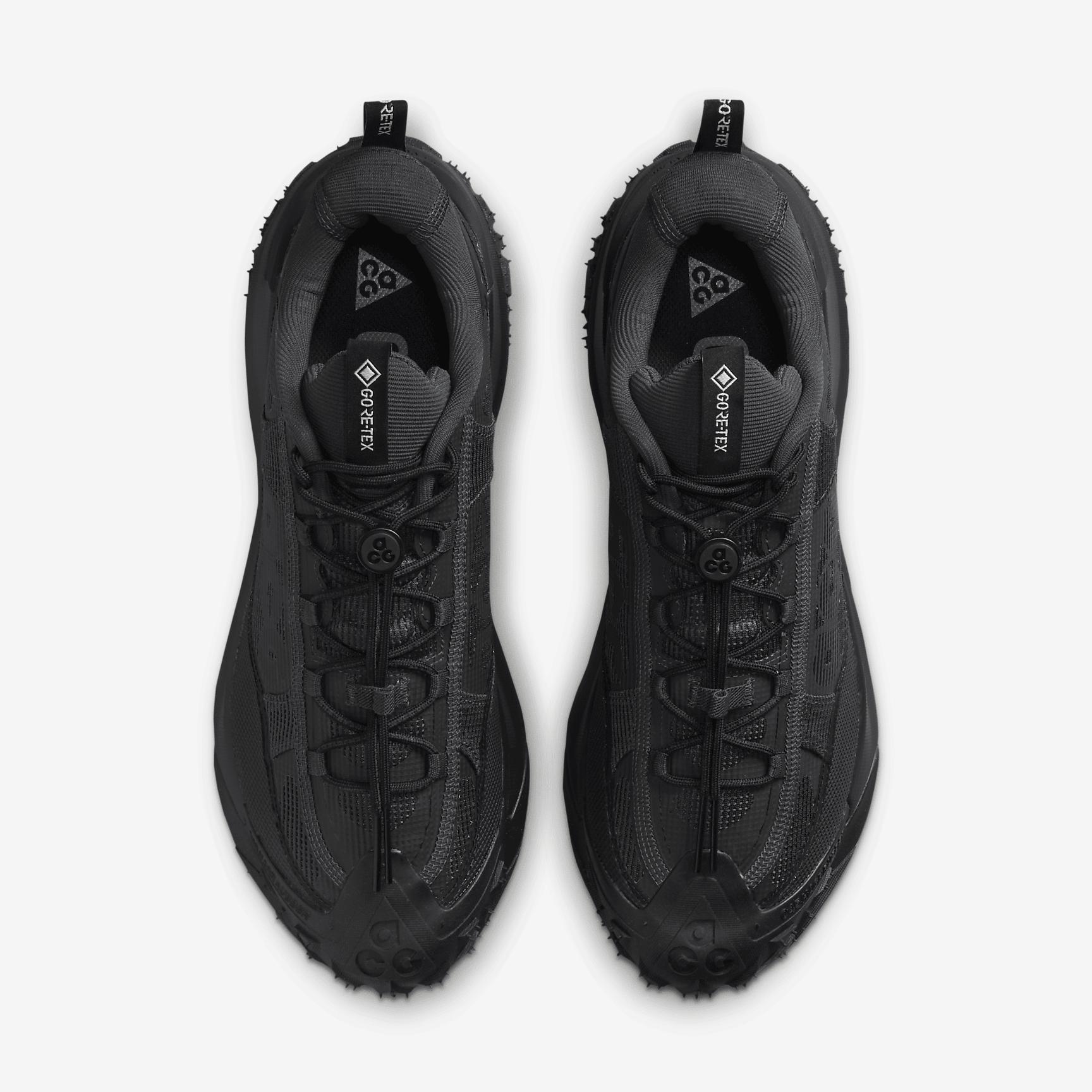 Men's Nike ACG Mountain Fly 2 Low GORE-TEX Shoes Product Image