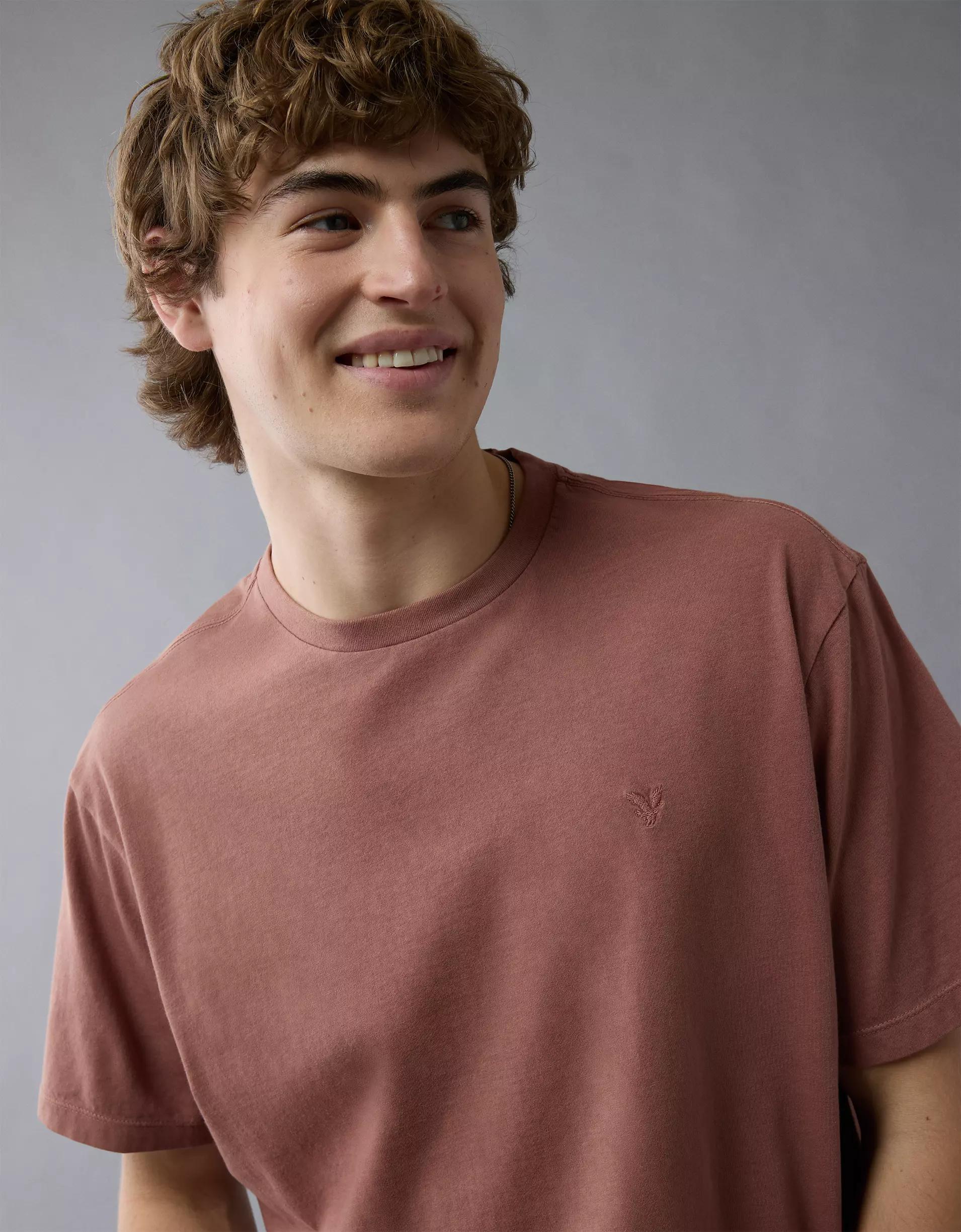AE Logo Lived-In T-Shirt Product Image