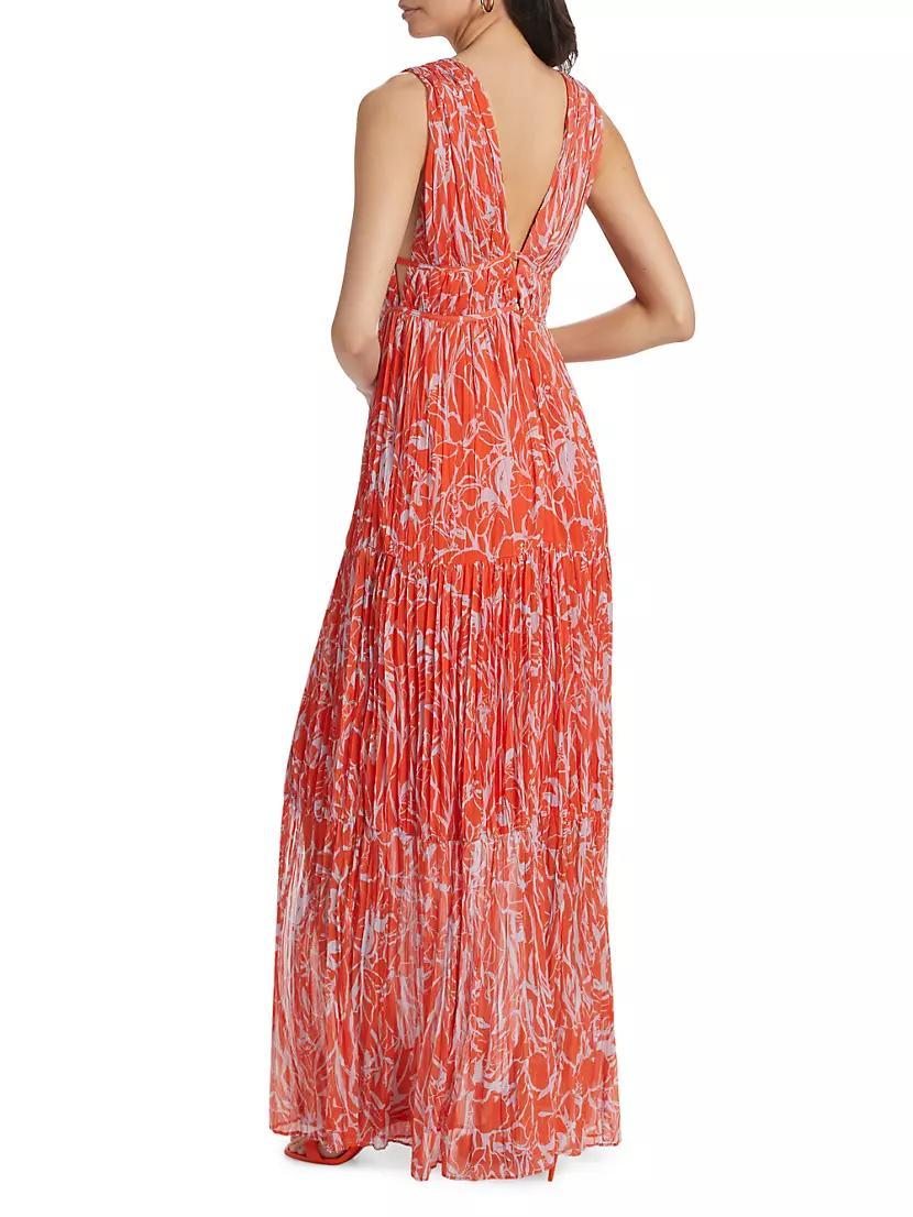Pescadero Floral Maxi Dress Product Image