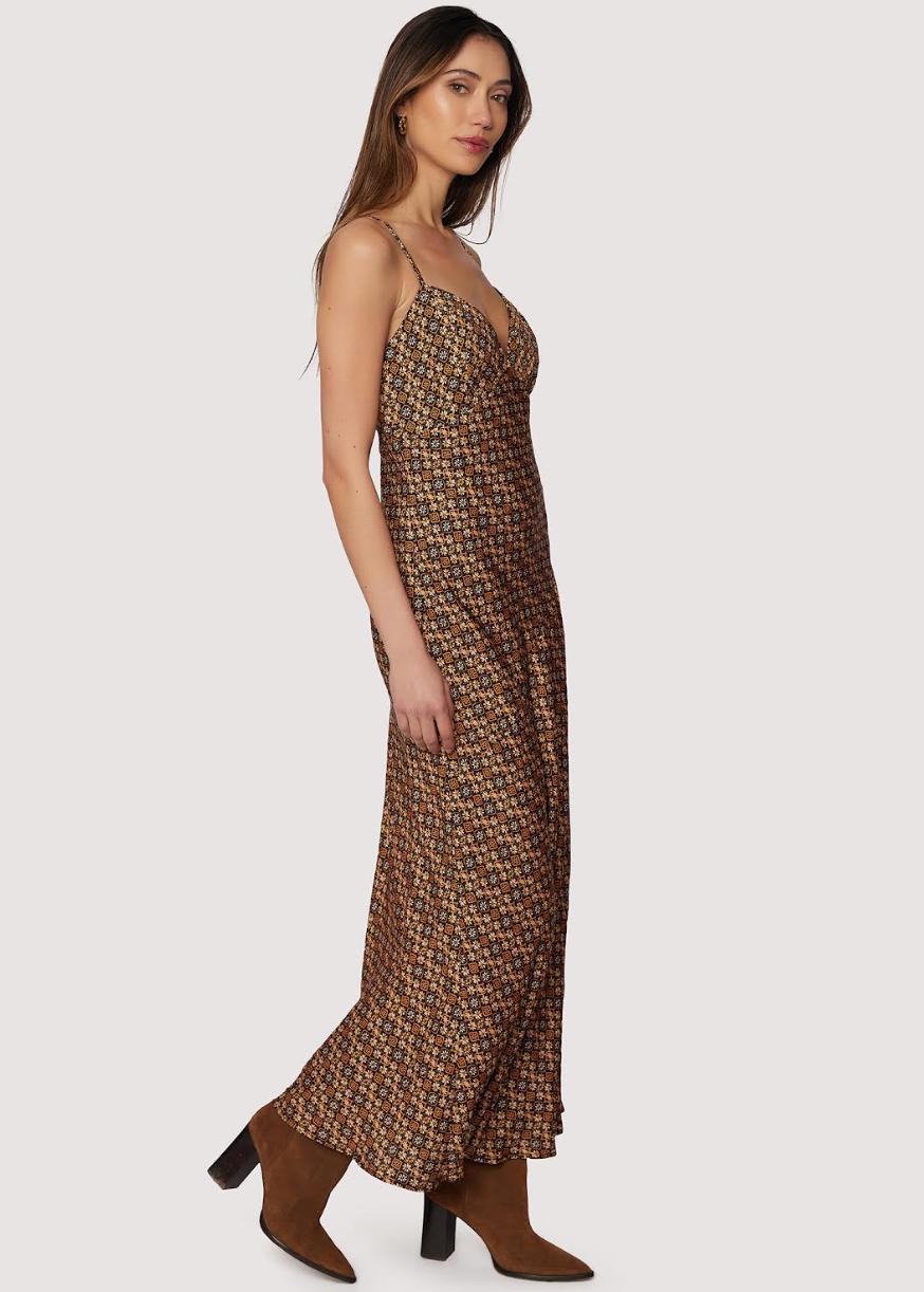 Heritage Revival Maxi Dress Product Image