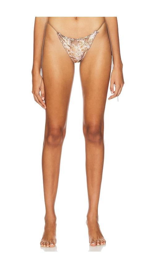 Ruffle Bikini Bottoms Jaded London Product Image