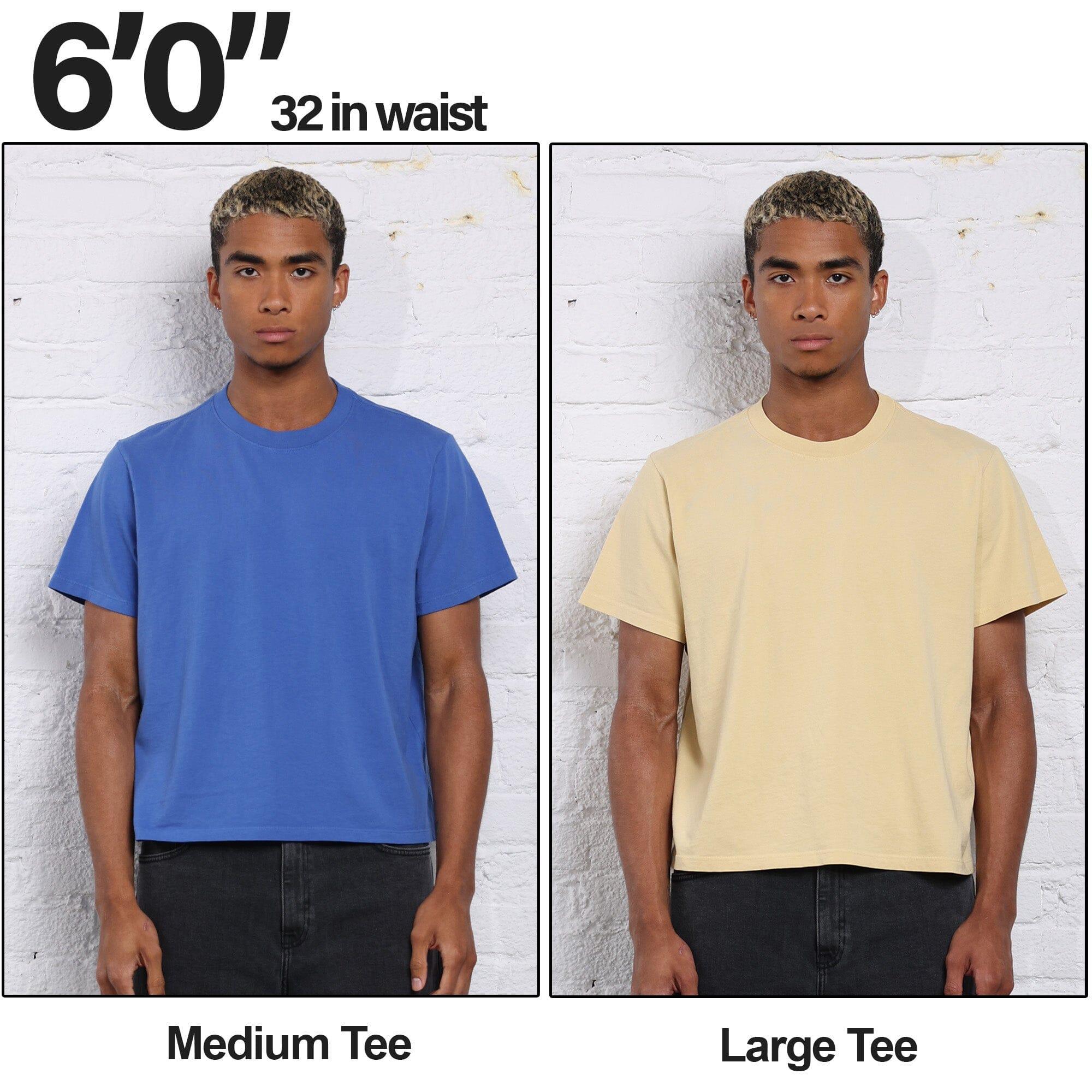 The Silverlake Crop Tee II Product Image
