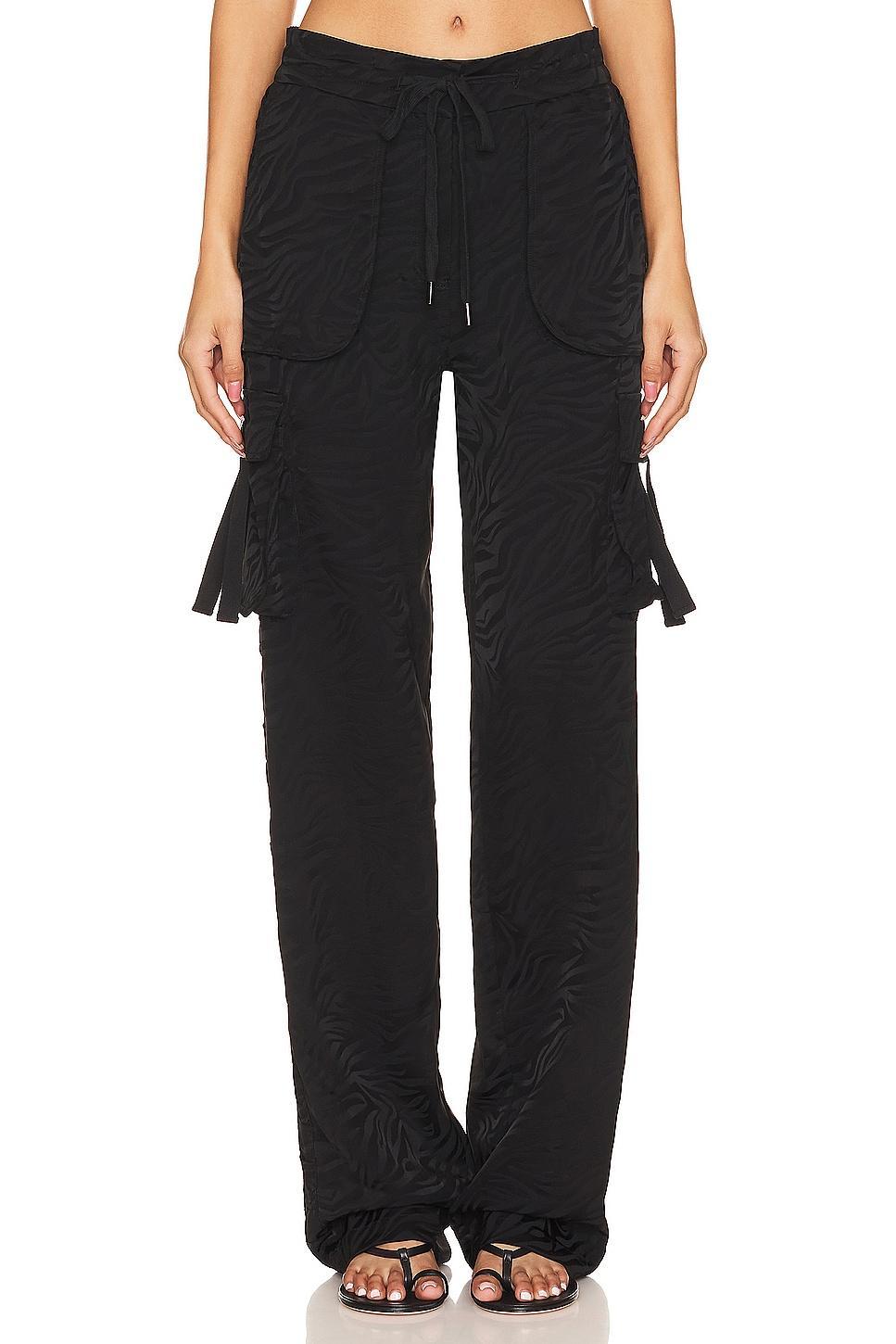 Santa Cruz Cargo Pant Product Image