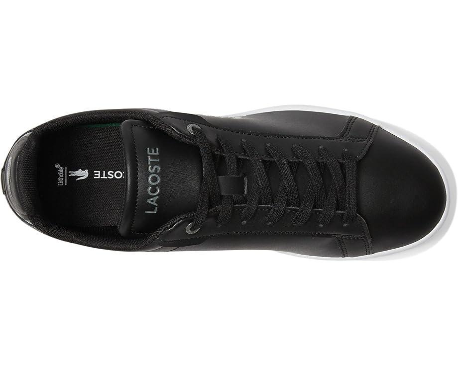 Lineset Sneakers Product Image
