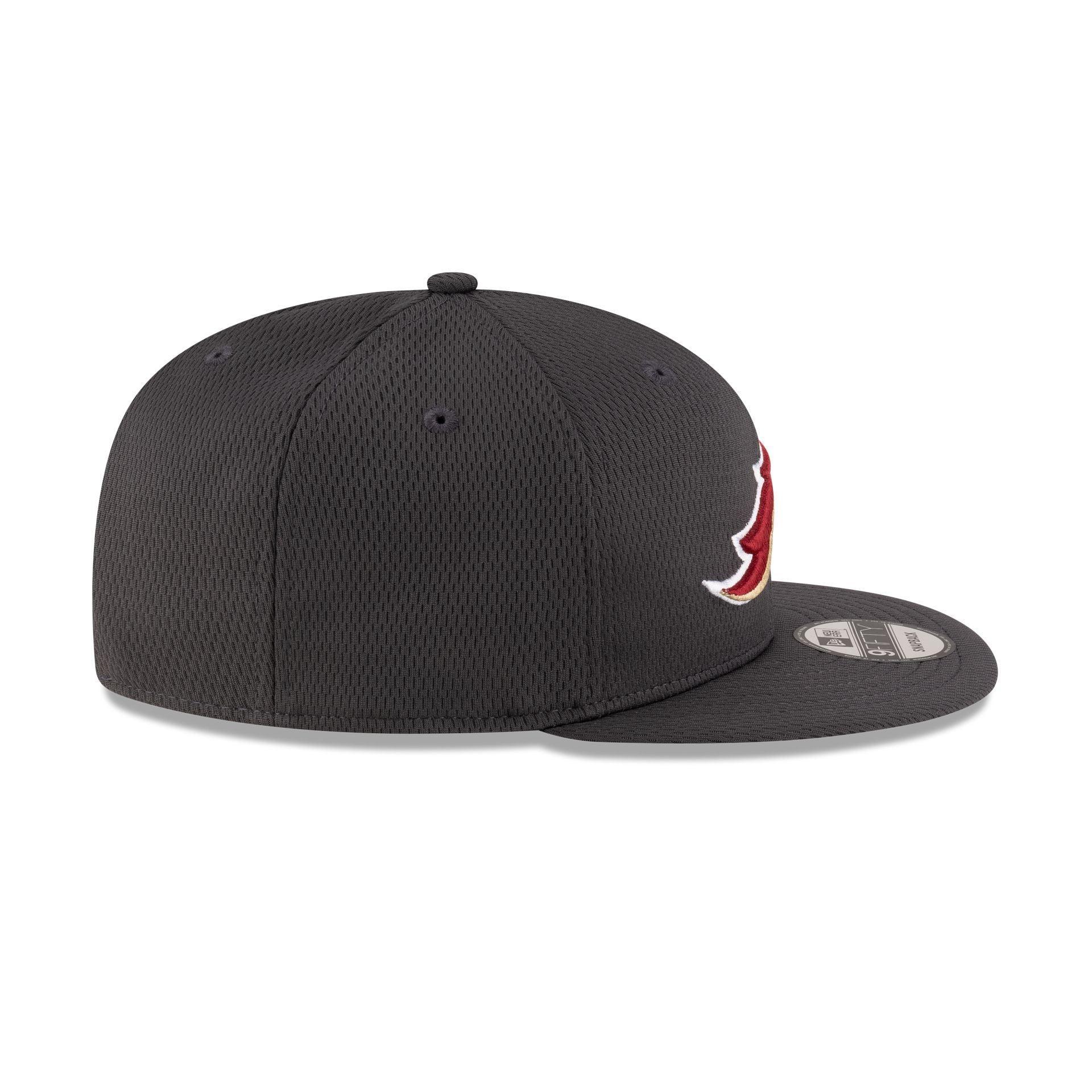 Birmingham Stallions Gray 9FIFTY Snapback Hat Male Product Image