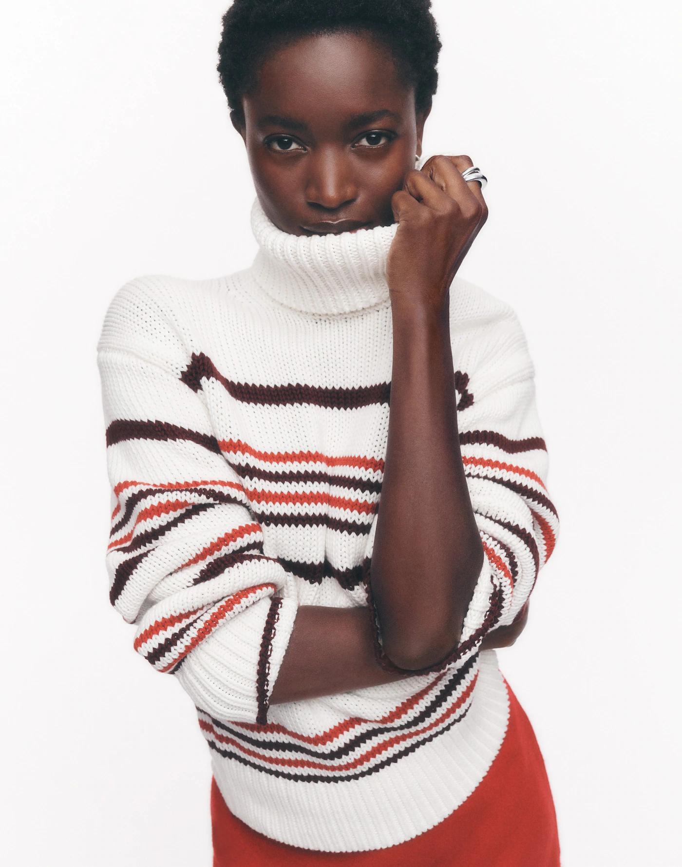 Ribbed Cotton Turtleneck Sweater in Stripe Product Image