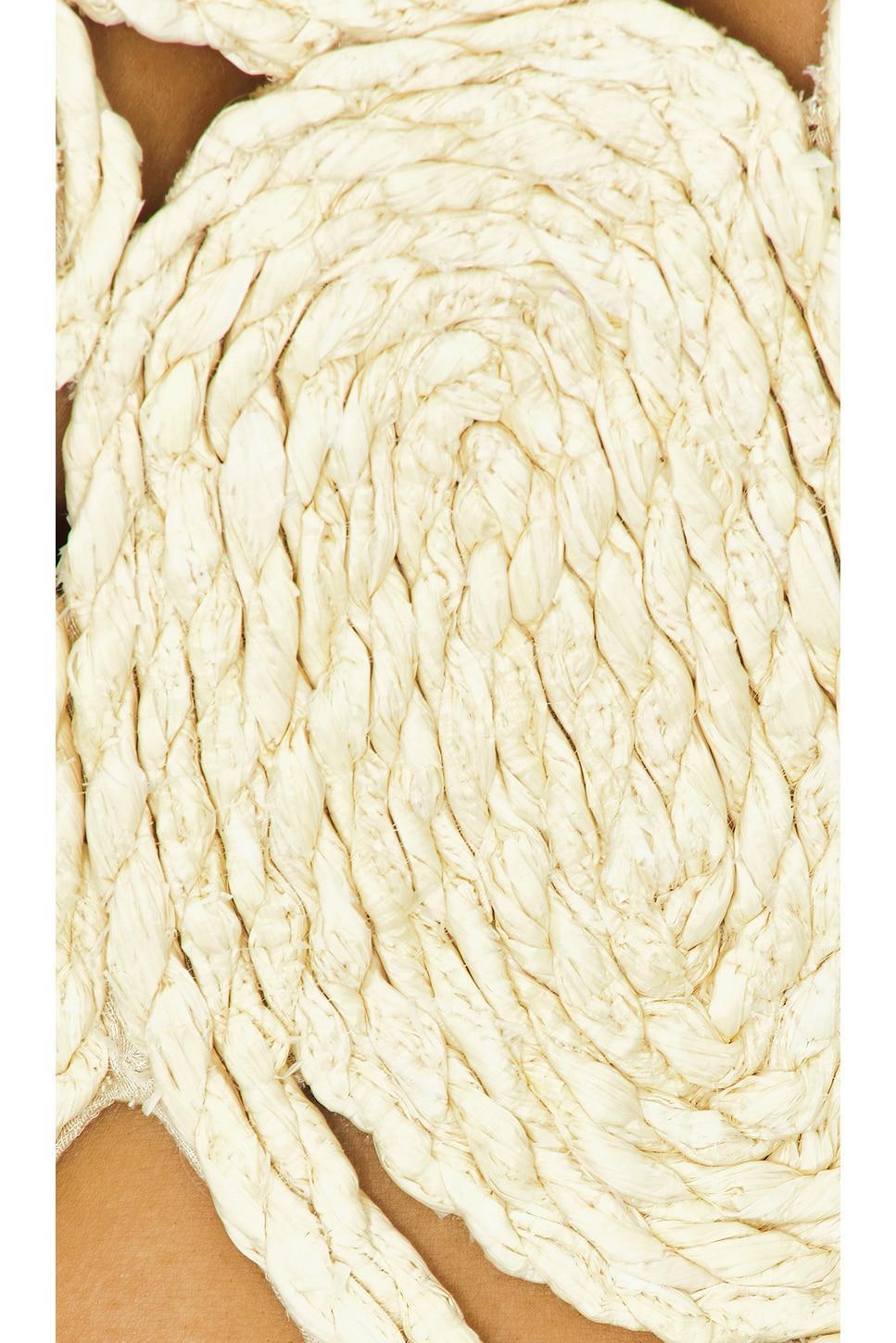 Ase Top Cult Gaia Product Image
