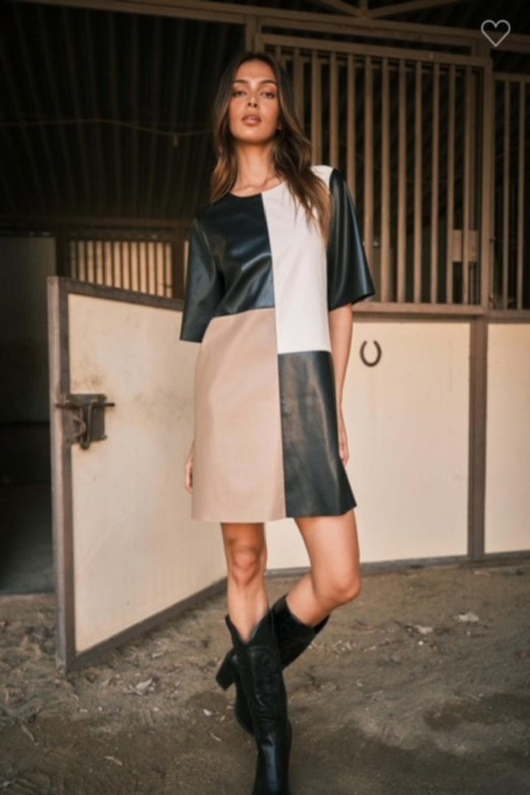 Color Block Dress Product Image
