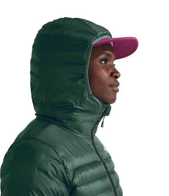 The North Face Terra Peak Zip Front Hoodie Product Image