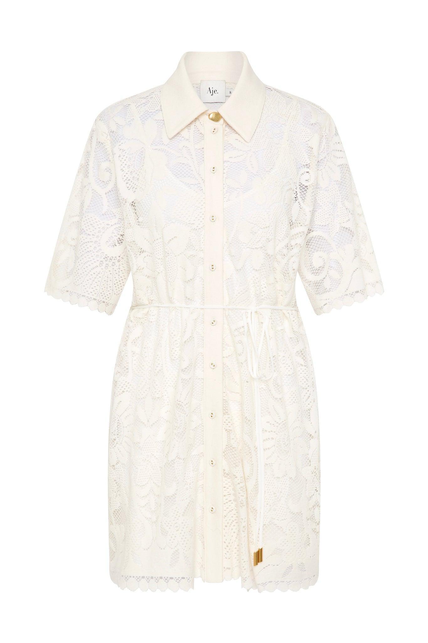 Muses Lace Mini Dress Product Image