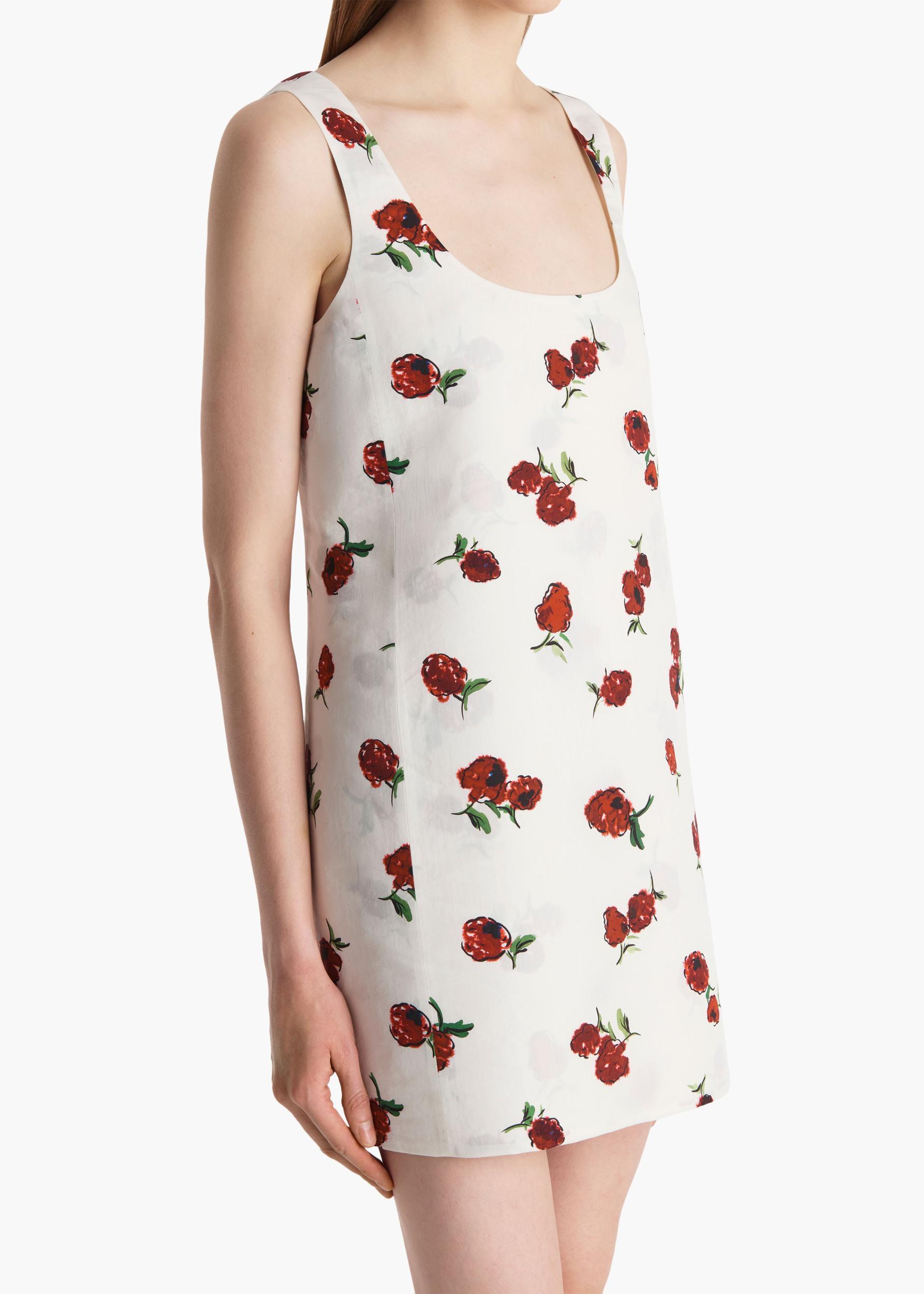Pranta Dress in Cream with Raspberry Print Product Image