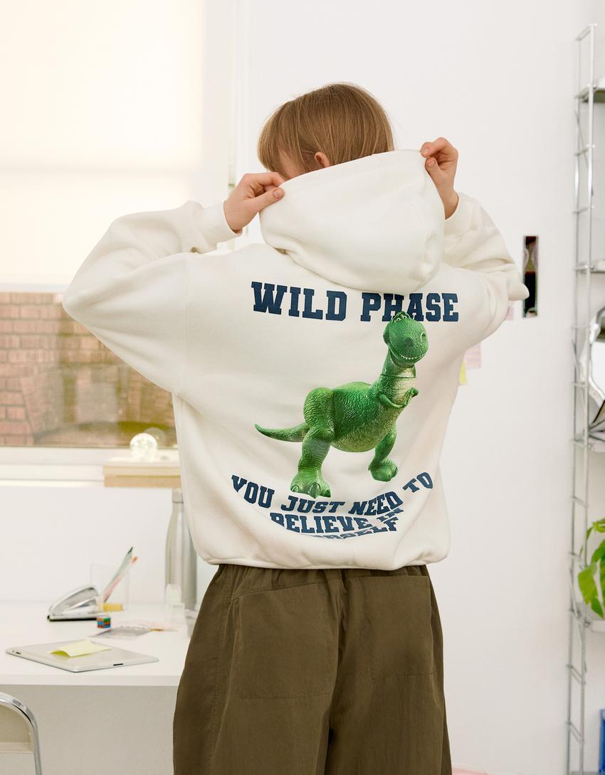Toy Story hoodie Product Image