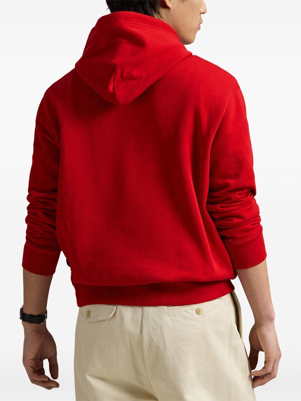 Lunar New Year Polo Bear hoodie Product Image