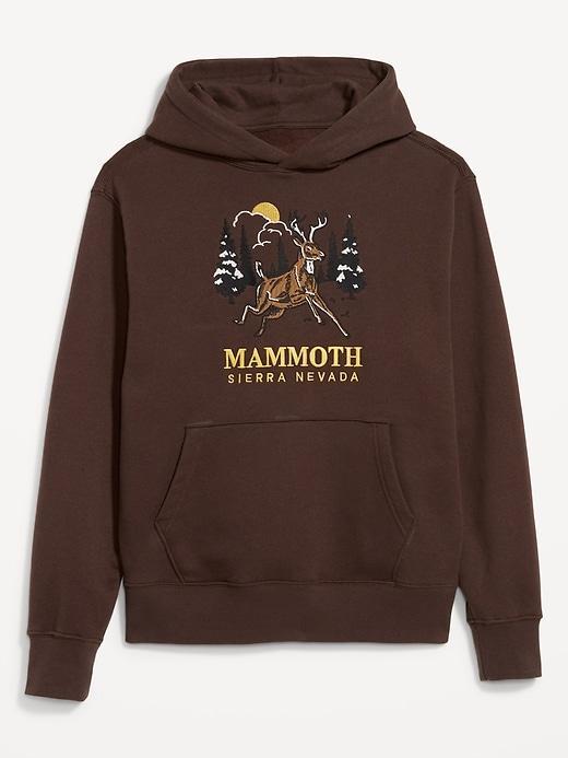 Oversized Essential Graphic Hoodie Product Image