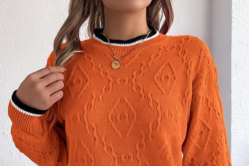 Round Neck Contrast Trim Sweater Product Image