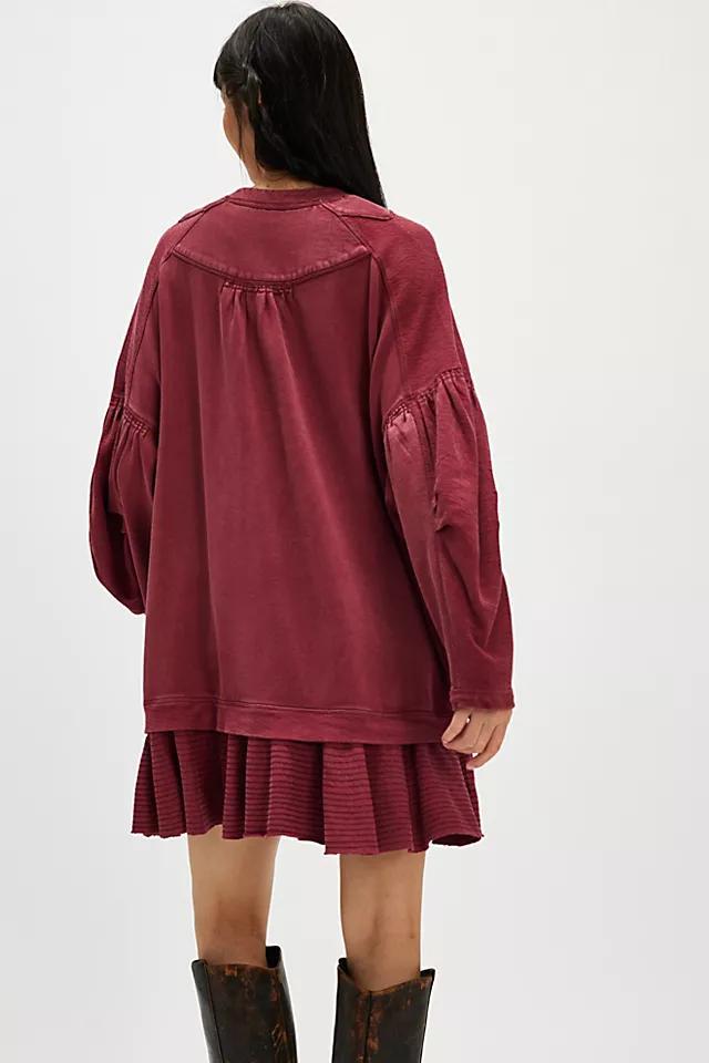 Zander Mini Dress Product Image