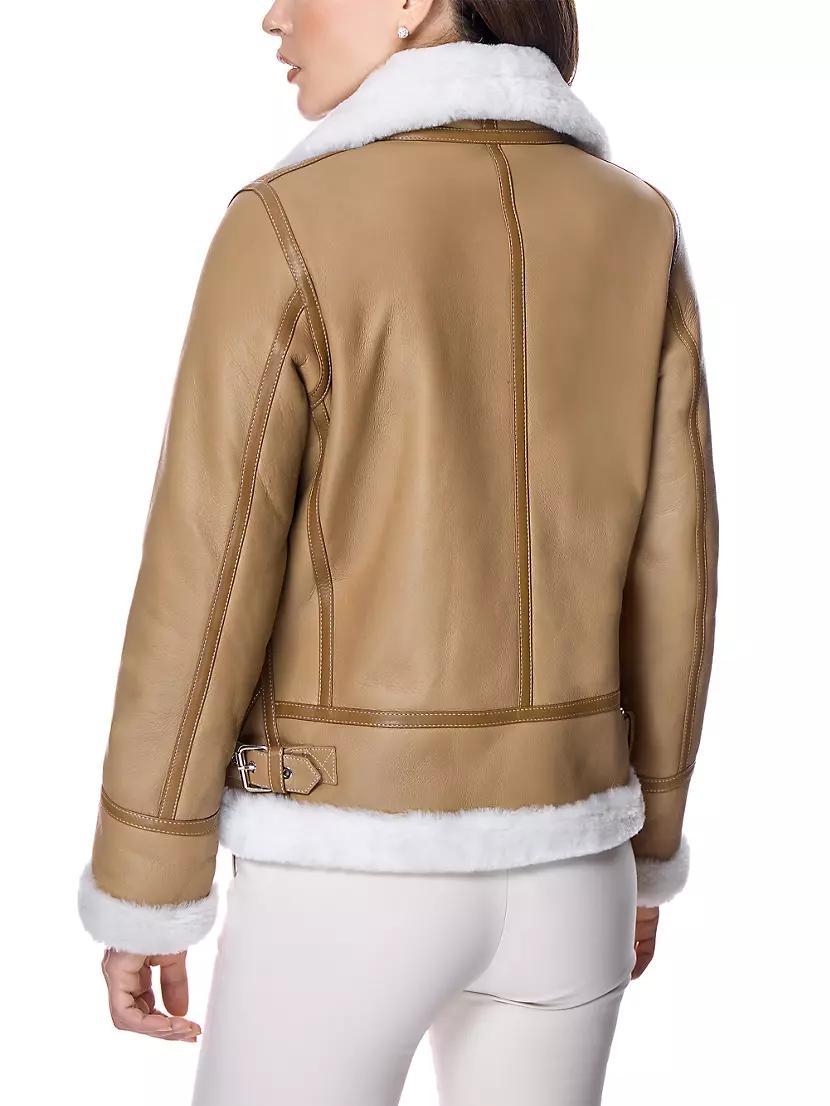Leather & Shearling Flight Jacket Product Image