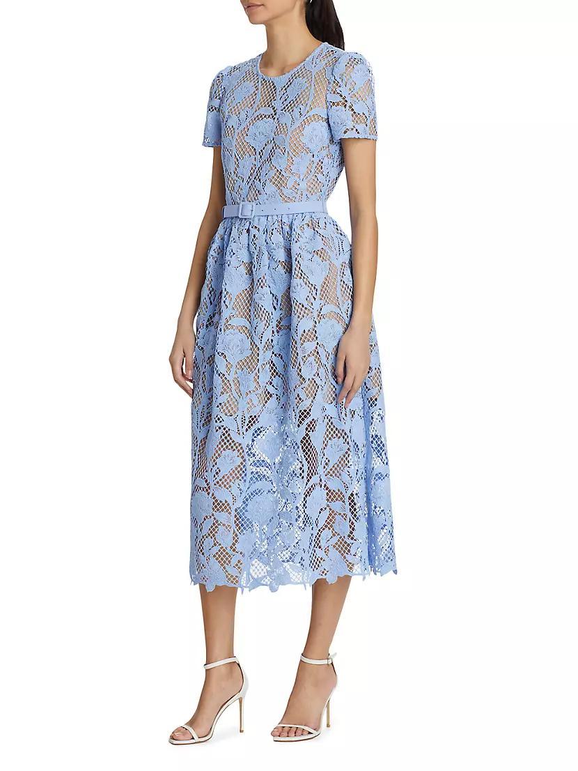 Lily Mesh Lace A-Line Midi-Dress Product Image