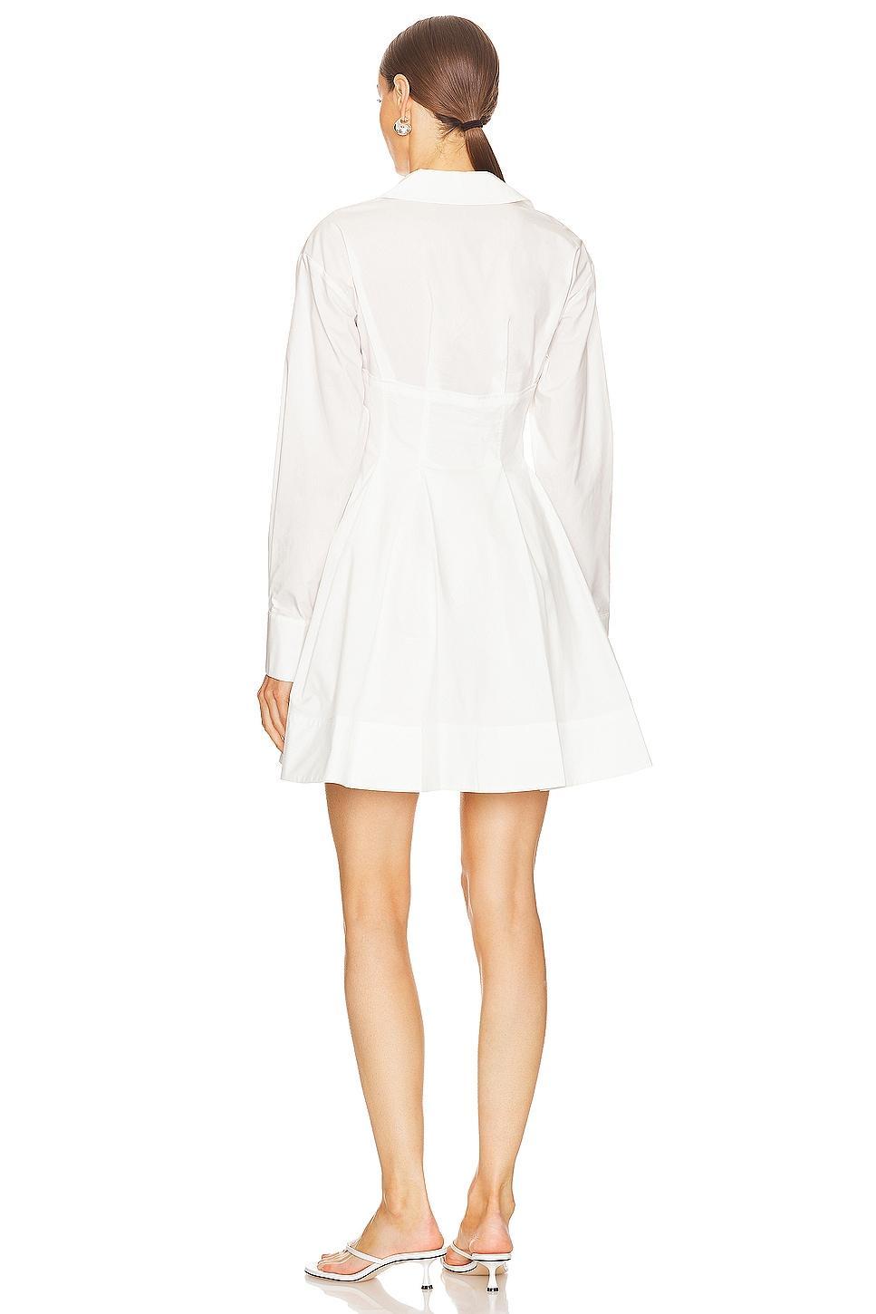 Carolyn Bustier Mini Dress SIMKHAI Product Image