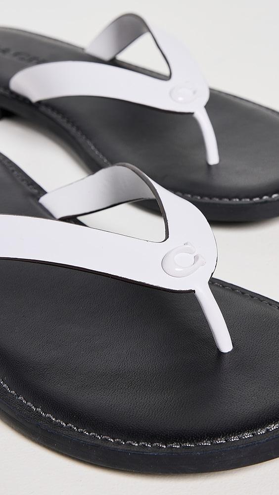 Coach Brianna Flip Flops | Shopbop Product Image