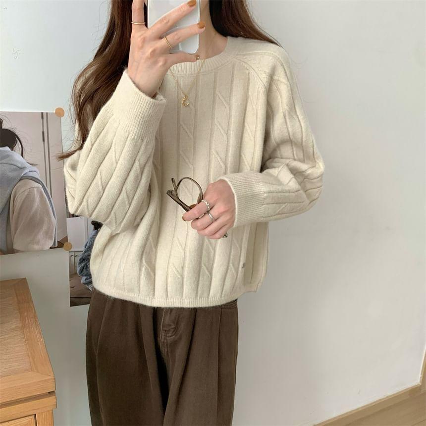 Crewneck Ribbed Plain Sweater Product Image