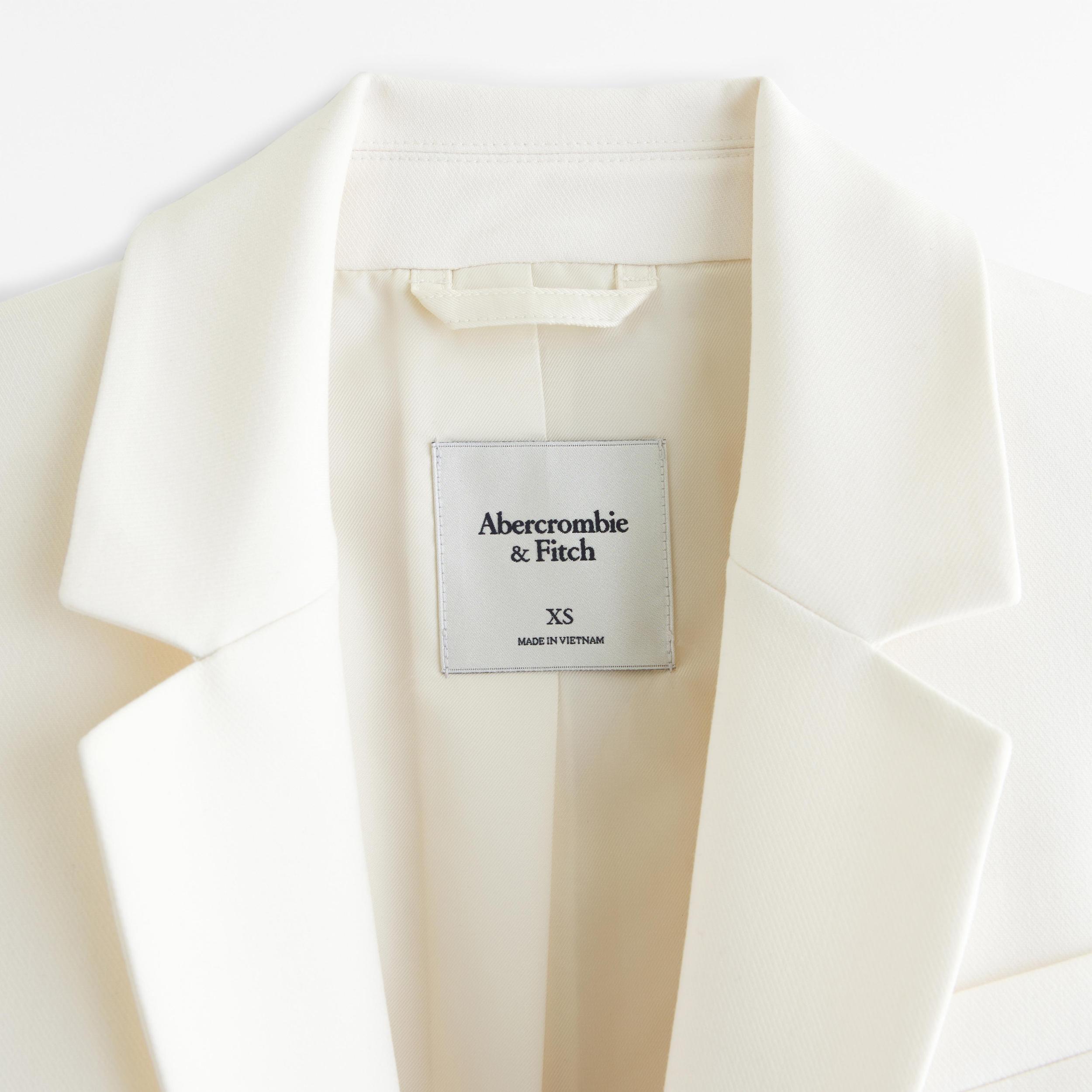 Classic Suiting Blazer Product Image