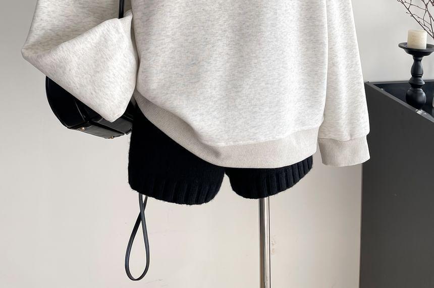 Crew Neck Dog Embroidered Sweatshirt Product Image