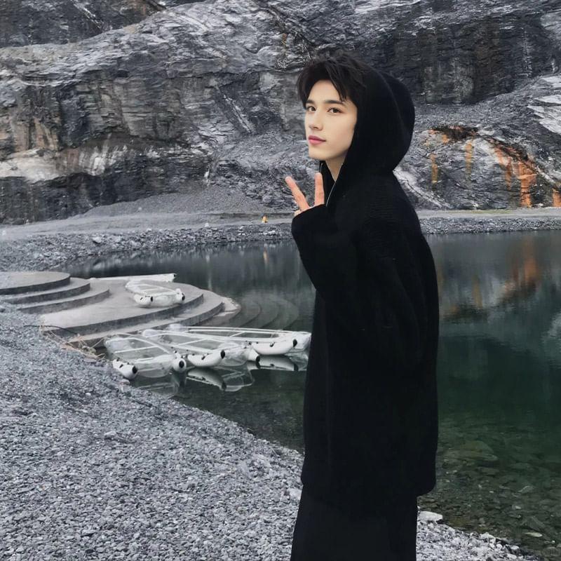 Plain Hooded Half-Zip Sweater Product Image