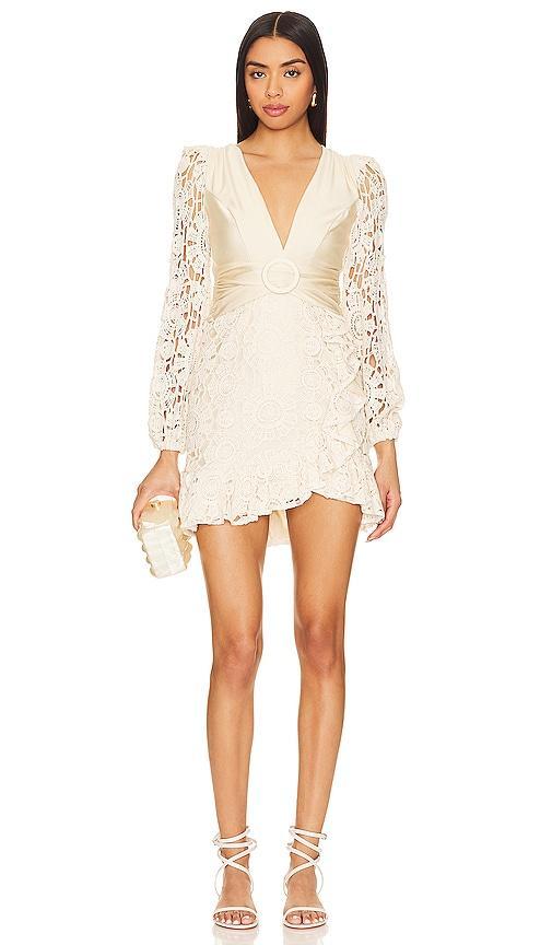 Plunge Mini Dress PatBO Product Image