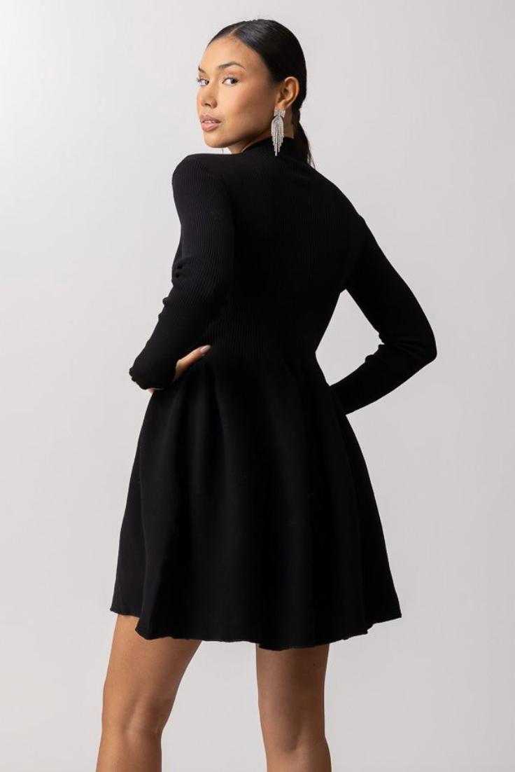 Blake Sweater Dress Product Image