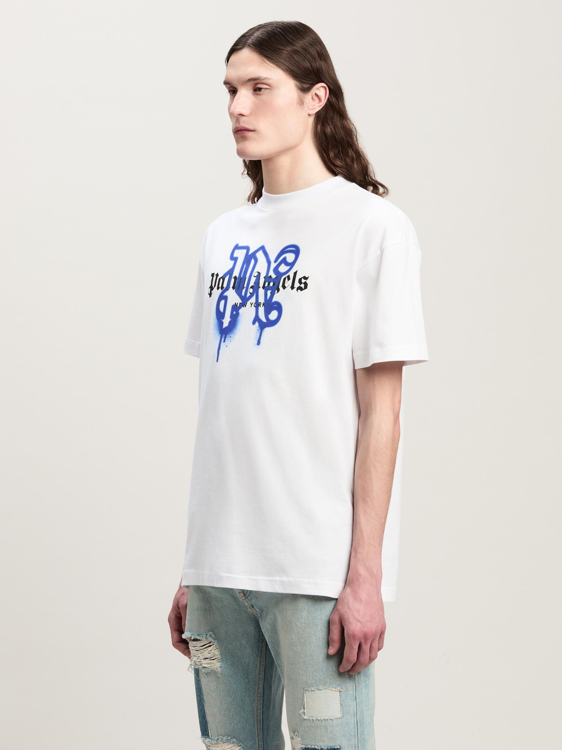 Lightweight Jersey Raglan Standard T-Shirt Male Product Image