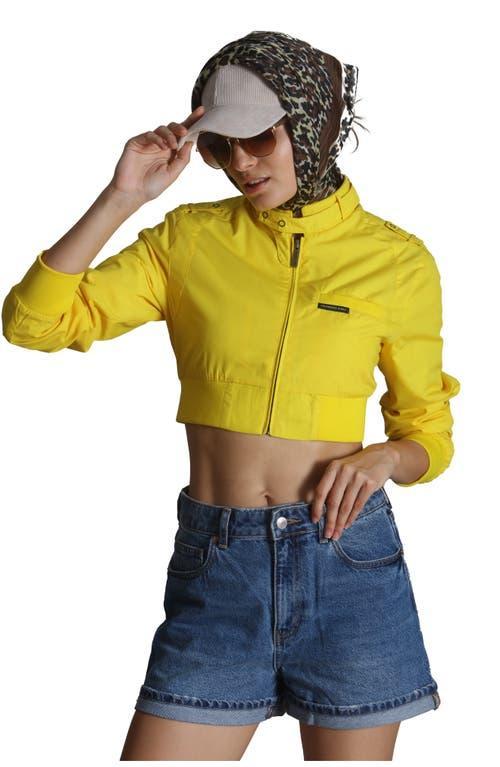 Members Only Women's Mini Cropped Racer Jacket in Black at Nordstrom, Size X-Large Product Image