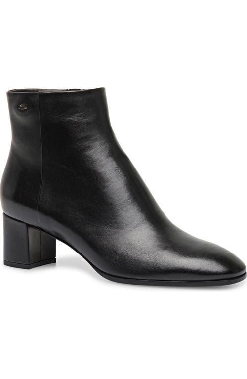 Santoni Women's Halfrida Black Zip Up Bootie at Nordstrom, Size 39 Product Image