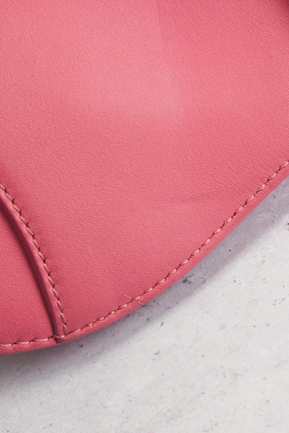 Dior Mini Saddle Bag FWRD Renew Product Image