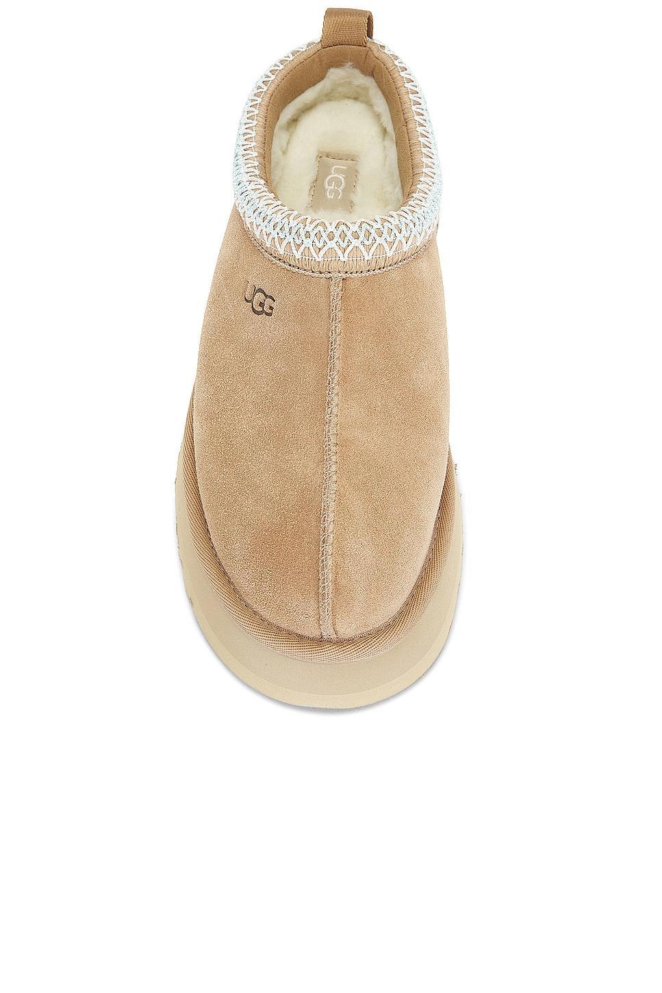 Tazz Slipper Product Image