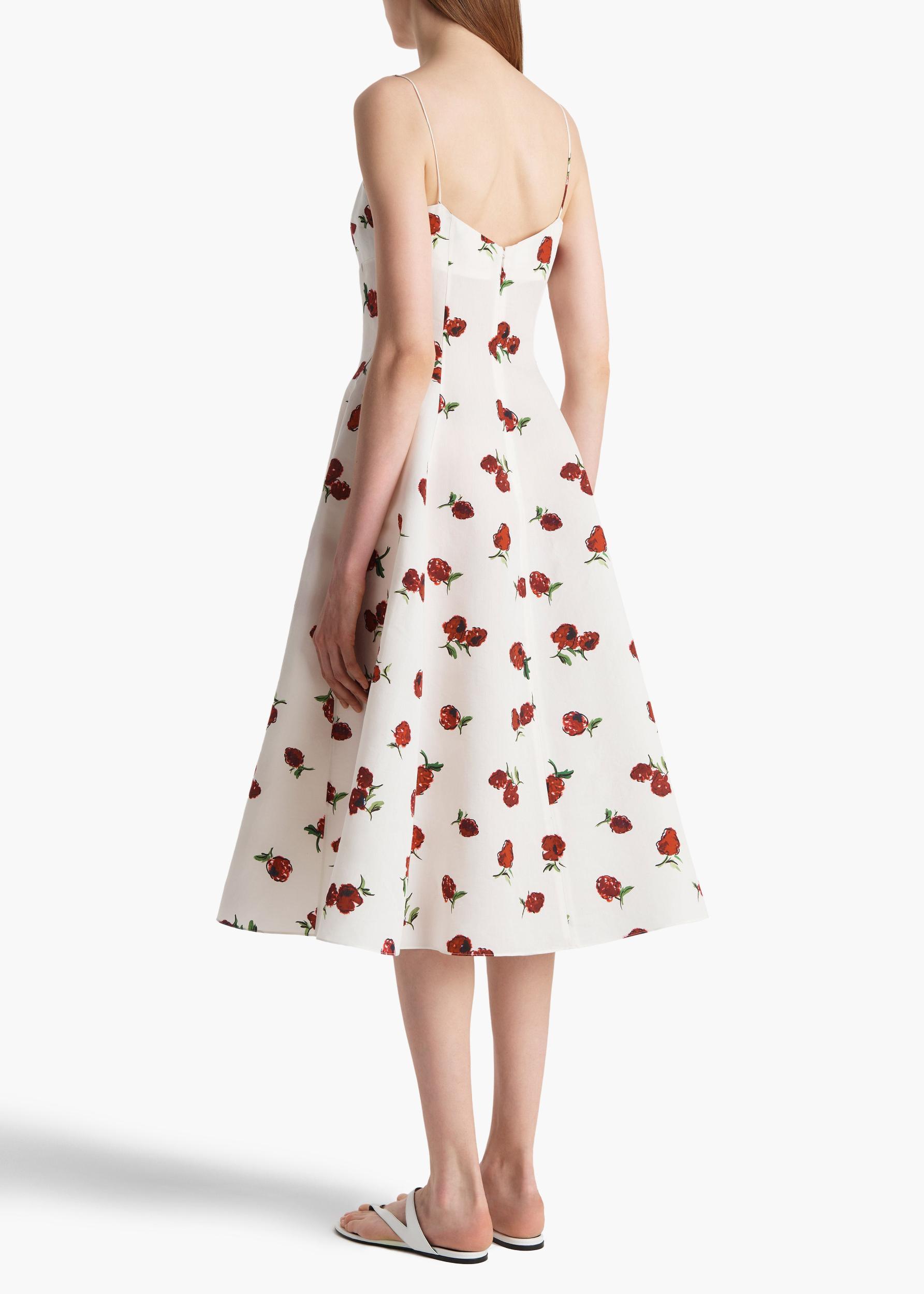 Isabella Dress in Cream with Raspberry Print Product Image