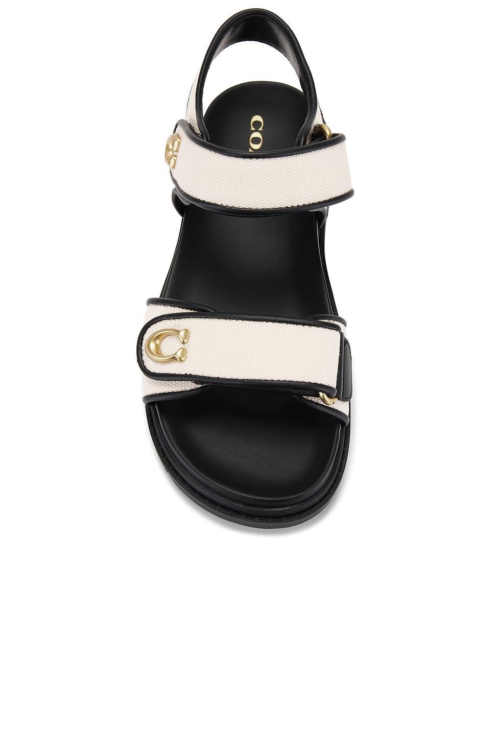 Brynn Sandal Coach Product Image