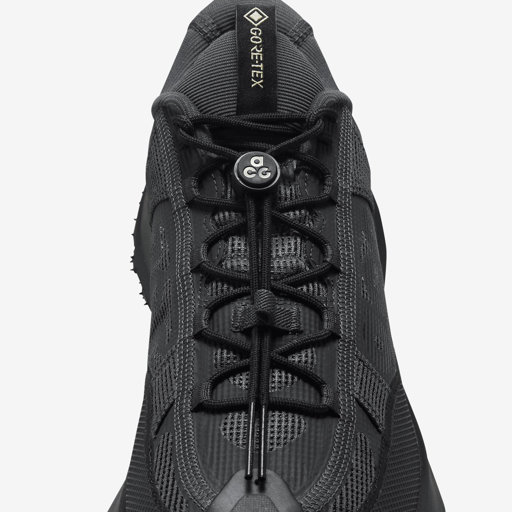 Men's Nike ACG Mountain Fly 2 Low GORE-TEX Shoes Product Image